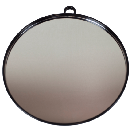 Trina Oval El Aynası 0009