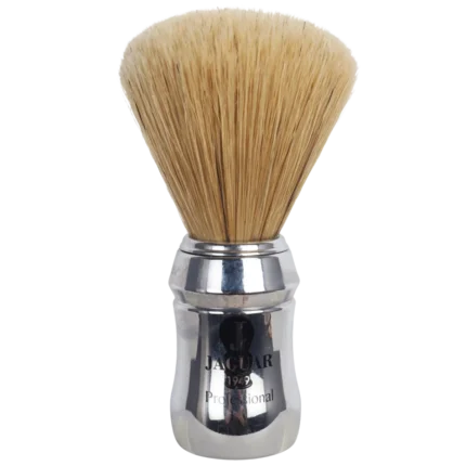 Rodeo Jaguar Sakal Fırçası 1949